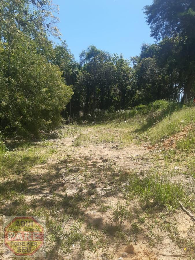 Terreno Para Venda