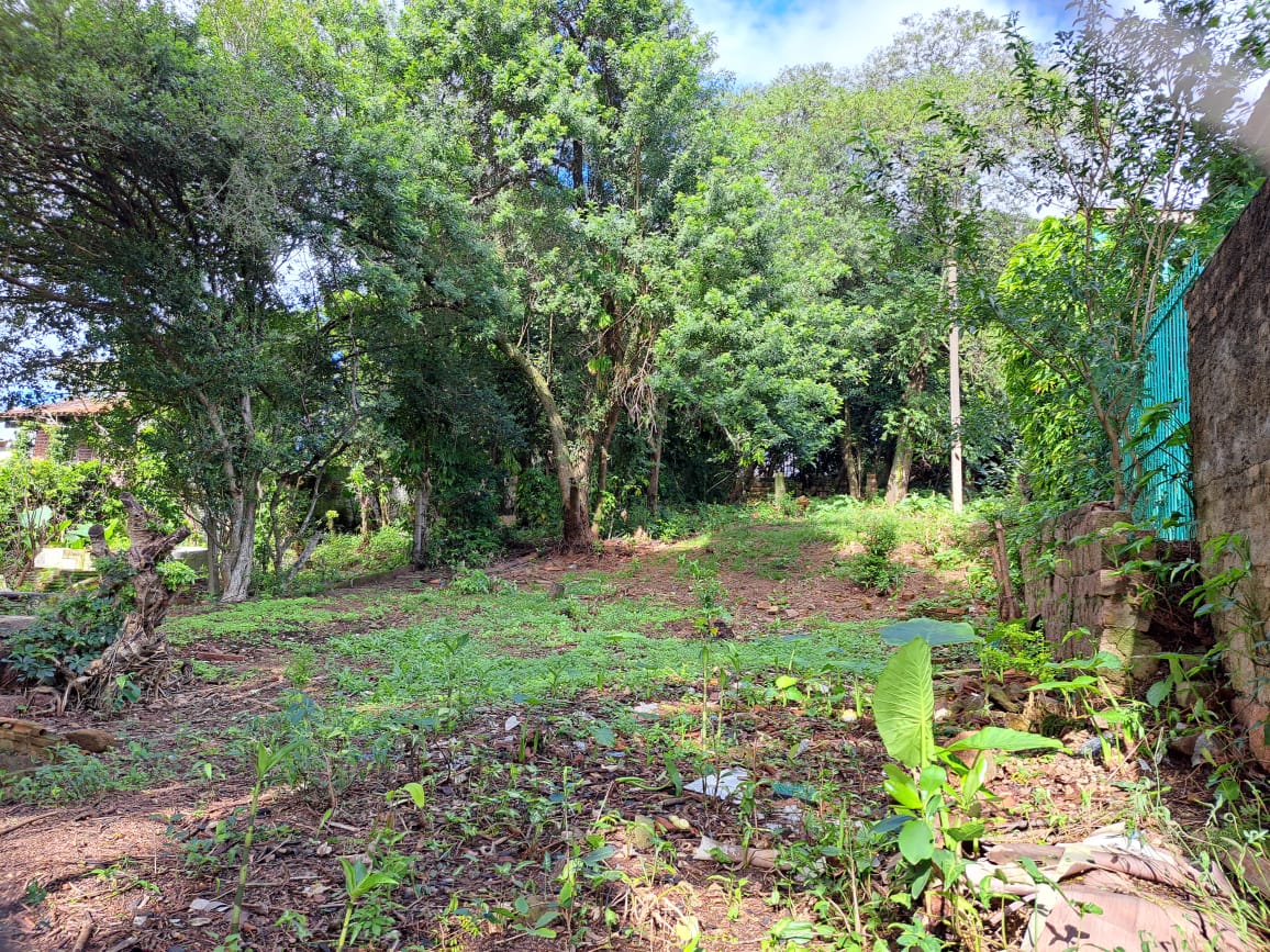 Terreno Plano Em Ótima Localização